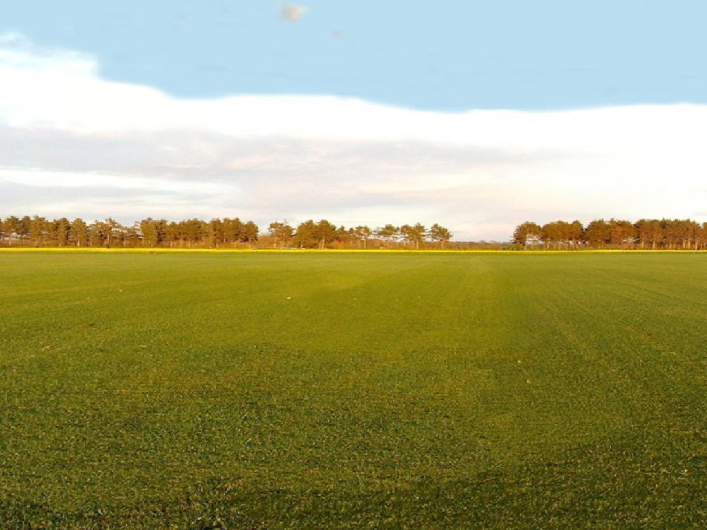 Annenheide II RC flying field for Absolute RC Simulator