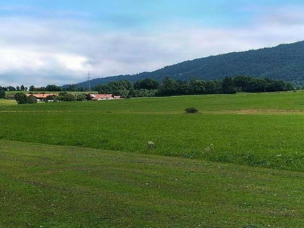 Immenstadt RC flying field for Absolute RC Simulator