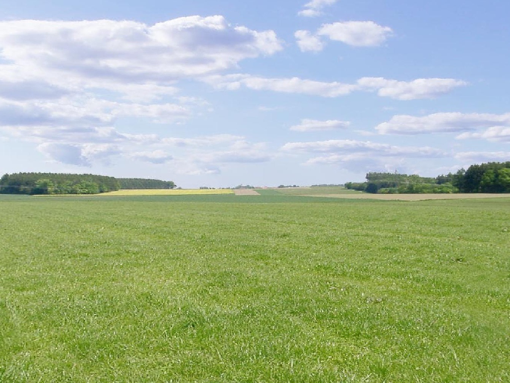 Mammendorf RC flying field for Absolute RC Simulator