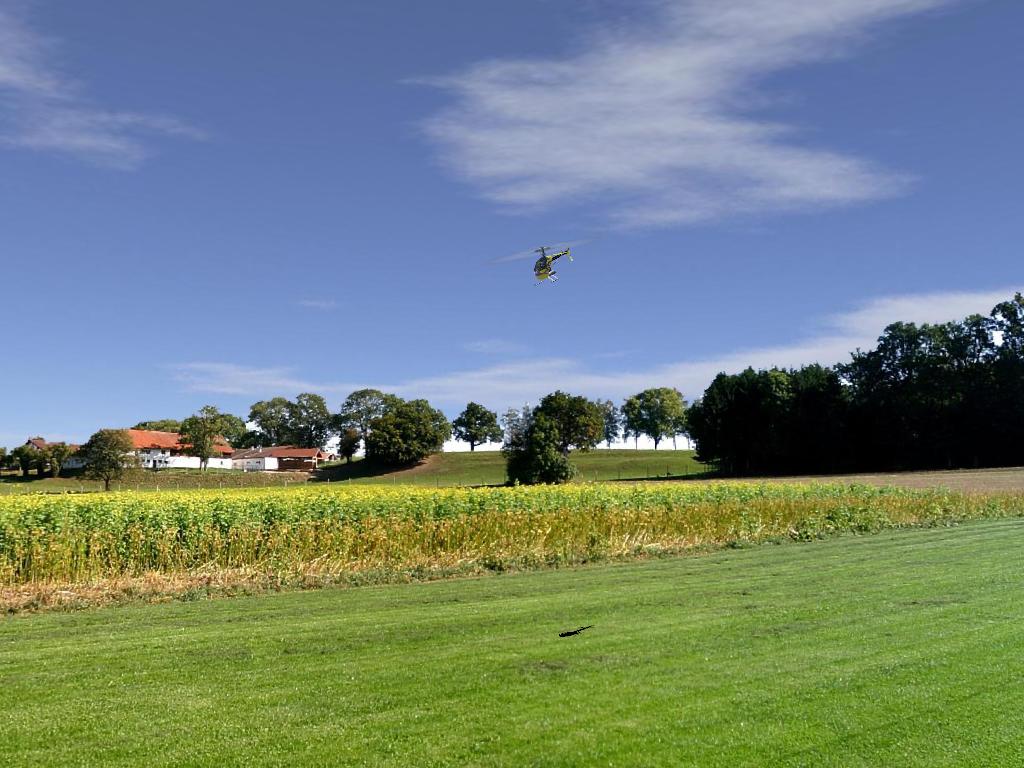 Farm field RC flying field for Absolute RC Simulator